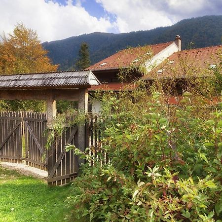 Casa Ferica Villa Azuga Buitenkant foto