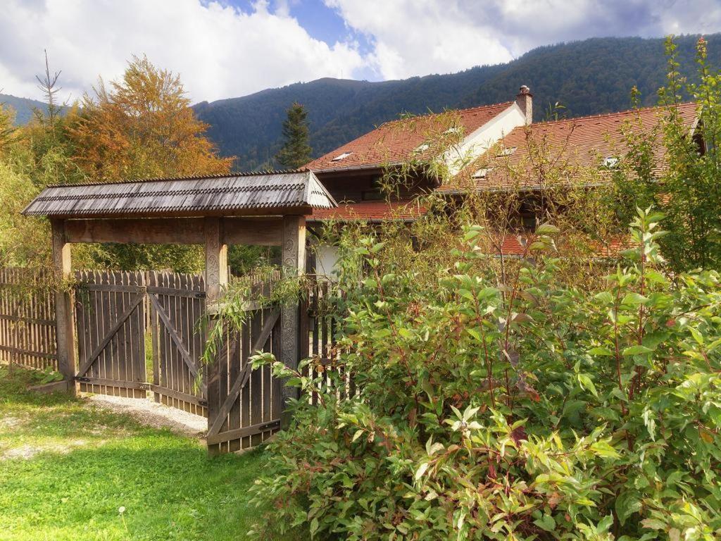 Casa Ferica Villa Azuga Buitenkant foto