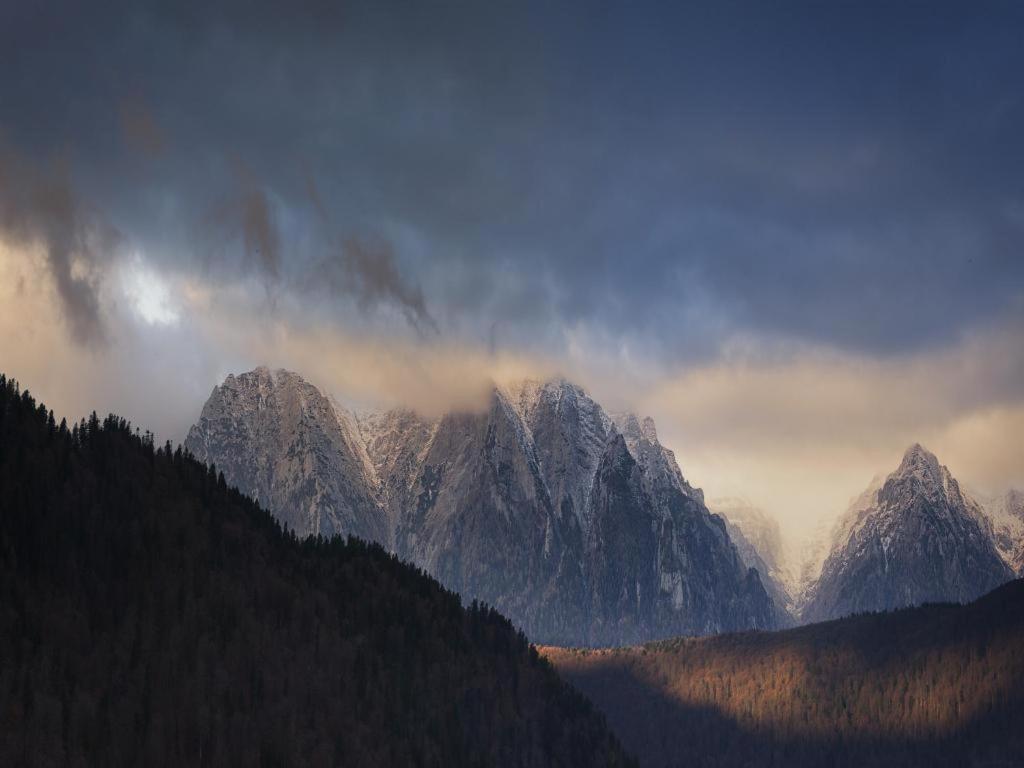 Casa Ferica Villa Azuga Buitenkant foto